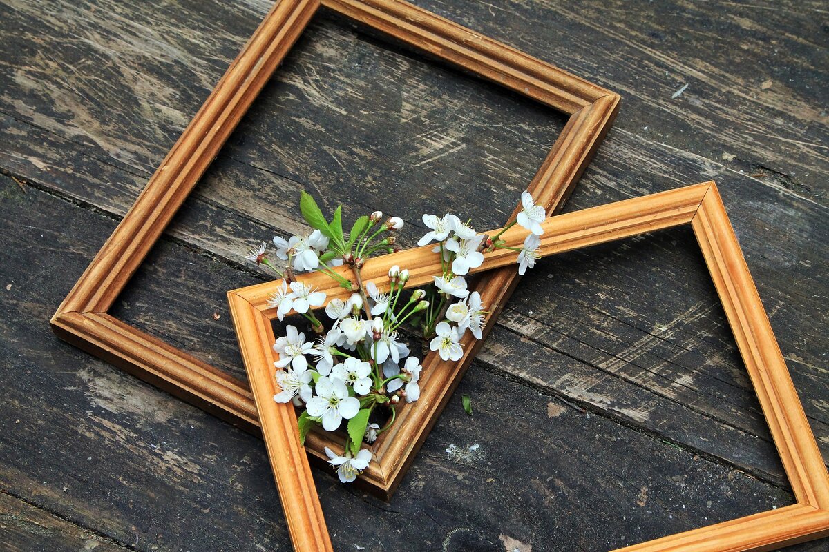 Фото из открытого источника