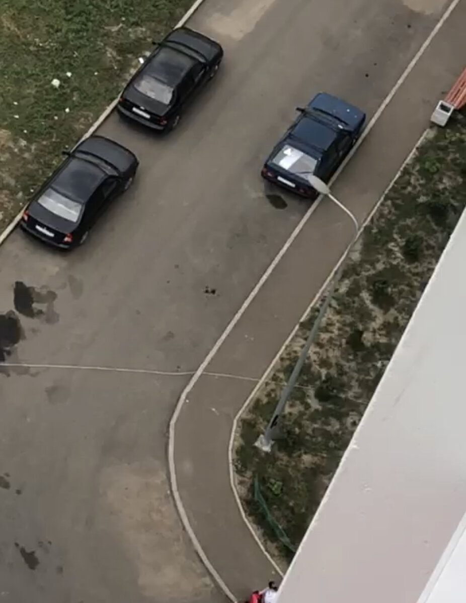 Длиннущая переноска