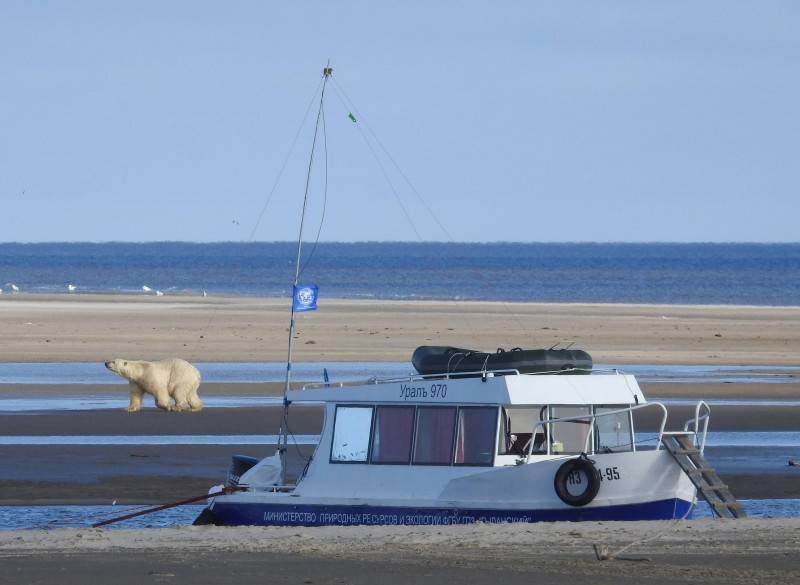 Фото предоставлены участниками экспедиции