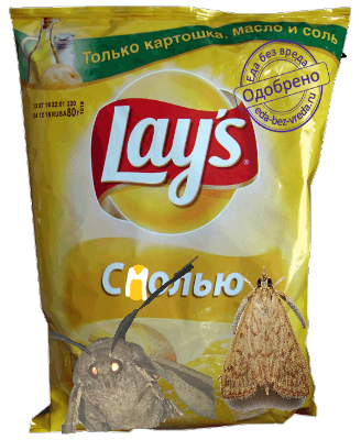 Lays 2023. Чипсы приколы вкусы. Чипсы со вкусом моли. Чипсы Лейс. Смешные чипсы Лейс.