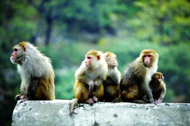 Источник фото: https://www.albayan.ae/supplements/ramadan/quran/2014-07-21-1.2167996?ot=ot.AMPPageLayout