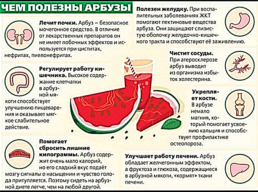 Источник: Яндекс картинки