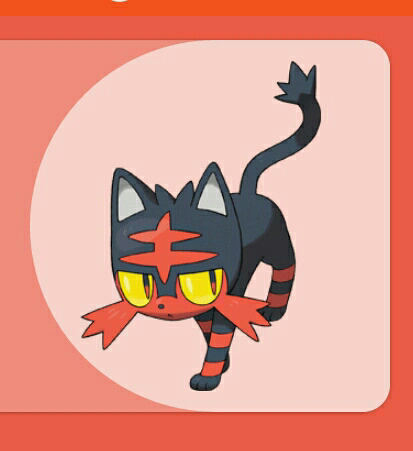 



The 3rd Pokemon in our List is The Starter Pokemon Litten.Ash had Litten during his Alola Journeys , so it's just a Must have Pokemon.