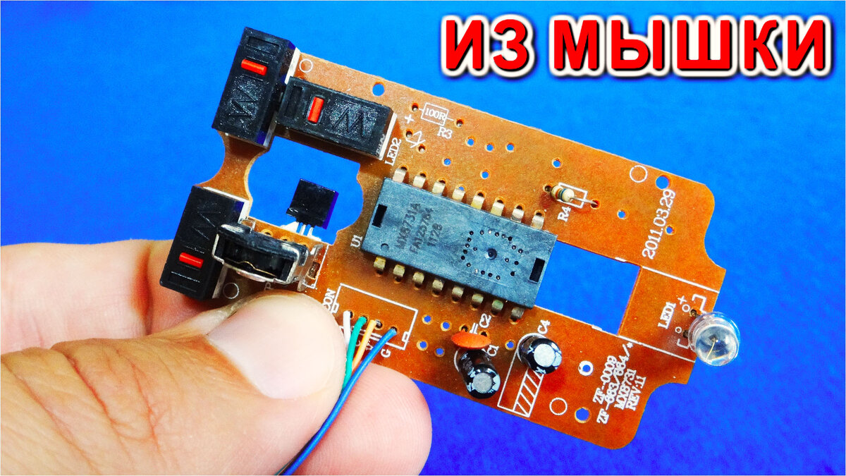 Потроха МЫшки компьютерной