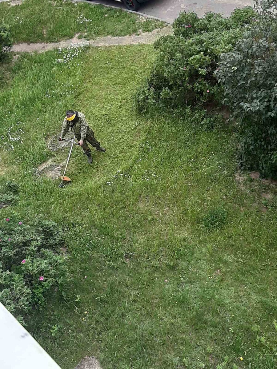 И так каждое утро