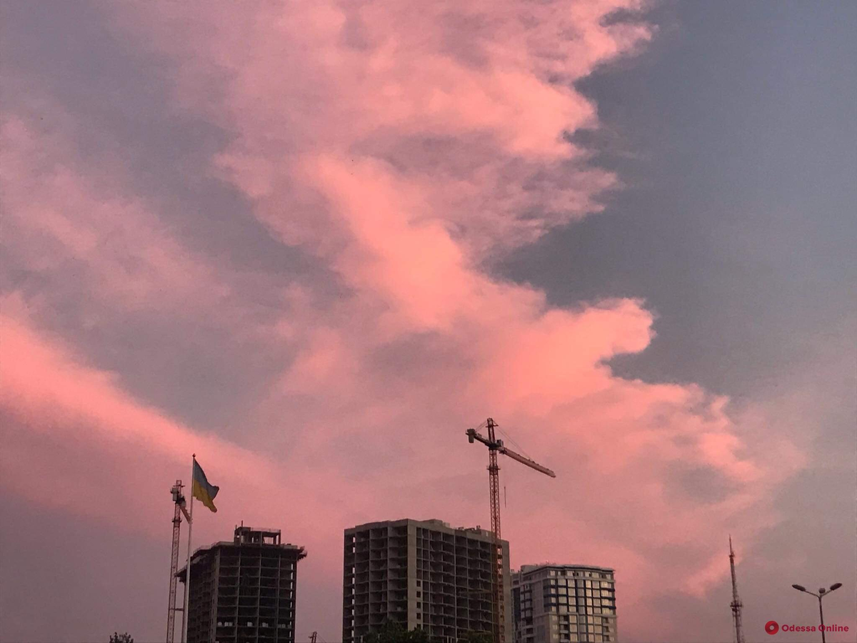 Розовый закат. Фото: Lotsia