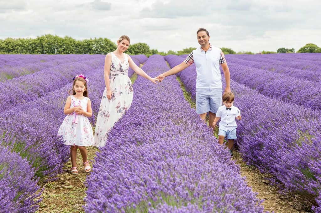 Esqueje de lavanda en agua