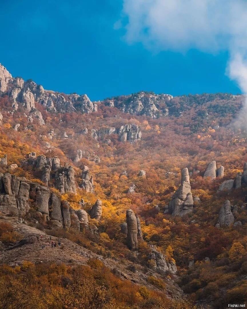 Местность в Крыму, скопление скал причудливой формы на западном склоне южной гряды массива Демерджи. В Крыму лишь на Демерджи можно наблюдать природный феномен Брокенский призрак.