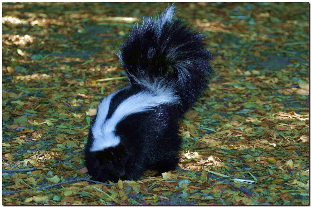 неприятный запах