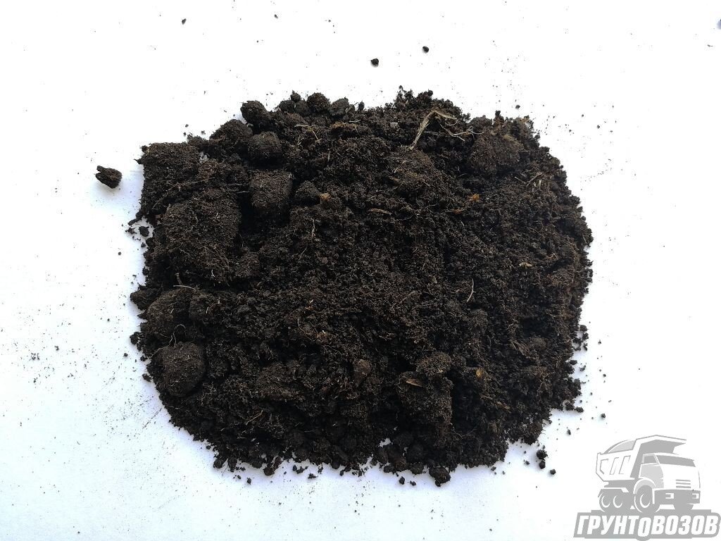 Торф – это осадочная горная порода с высоким содержанием углерода