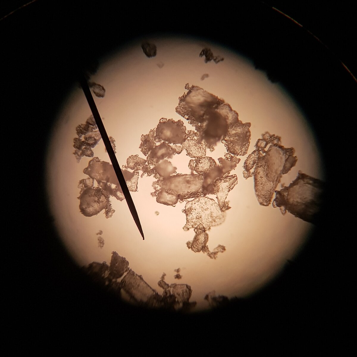 Соль под микроскопом 200х