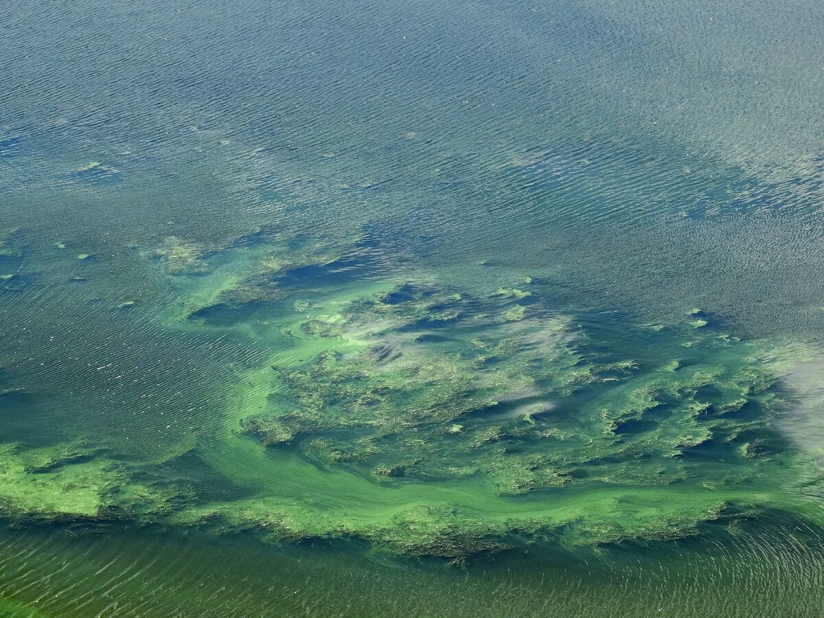 волгоградское море есть