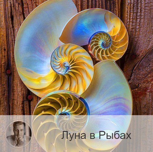 Подписывайтесь и ставьте 👍
Луна в знаке зодиака Рыбы с 12:34 1-ого по 23:22 3-ого. 👥 Возникает желание отдохнуть, расслабиться. Проведите время с близкими, семьей, или друзьями. Луна в Рыбах делает нас более чуткими, заботливыми, сострадательными. В эти дни сильнее проявляется интуиция, творческие способности, оказывает воздействие искусство, музыка.
✅ Благоприятный период для финансовых вложений, общения, культурных мероприятий и творческий занятий. Это лучшее время для отдыха и путешествий, для участия в благотворительных акциях, для занятия искусством, для посещения церкви, для совместного отдыха на природе, у водоема, для рыбалки, посещения бани. Дела, связанные с капиталовложением, идут неплохо. Можно решать юридические, правовые вопросы, начинать судебные тяжбы, обращаться к юристам. Хорошо для творческих занятий. Можно обращаться с просьбами и прошениями, собирать деньги на добрые дела, пристраивать бездомных животных.
❌ Для умственной деятельности это плохие дни: в расчеты незаметно для вас вкрадываются ошибки, мысли уносятся вдаль, проявляется тяга к фантазерству, к уходу от конкретики.
❤️ Отличное время для романтических свиданий. Луна в Рыбах помогает лучше узнать друг друга, стать ближе. Подходит для новых знакомств.
💊 Луна в Рыбах вызывает напряжение в нижней части ног, голенях, ступнях, пальцах – можно проводить лечебные процедуры этой области, но нельзя делать операции.
Когда Луна в Рыбах, все, что попадает в наш организм, особенно жидкости и различная химия – действует сильнее. Усиливается негативное воздействие алкоголя, никотина, лекарств, увеличивается количество отравлений.