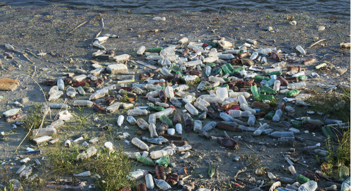 Посмотрите, что происходит с нашей средой! Поставьте лайк статье, чтобы как можно больше людей задумались об этой проблеме и стали заботиться об экологии