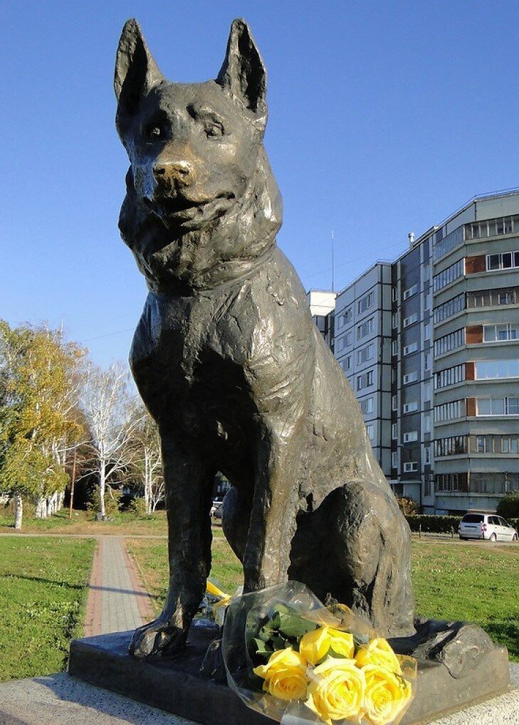 Собаки самара. Памятник верности в Тольятти. Памятник псу в Тольятти. Памятник собаке в Тольятти. Памятник преданности собаке в Тольятти.