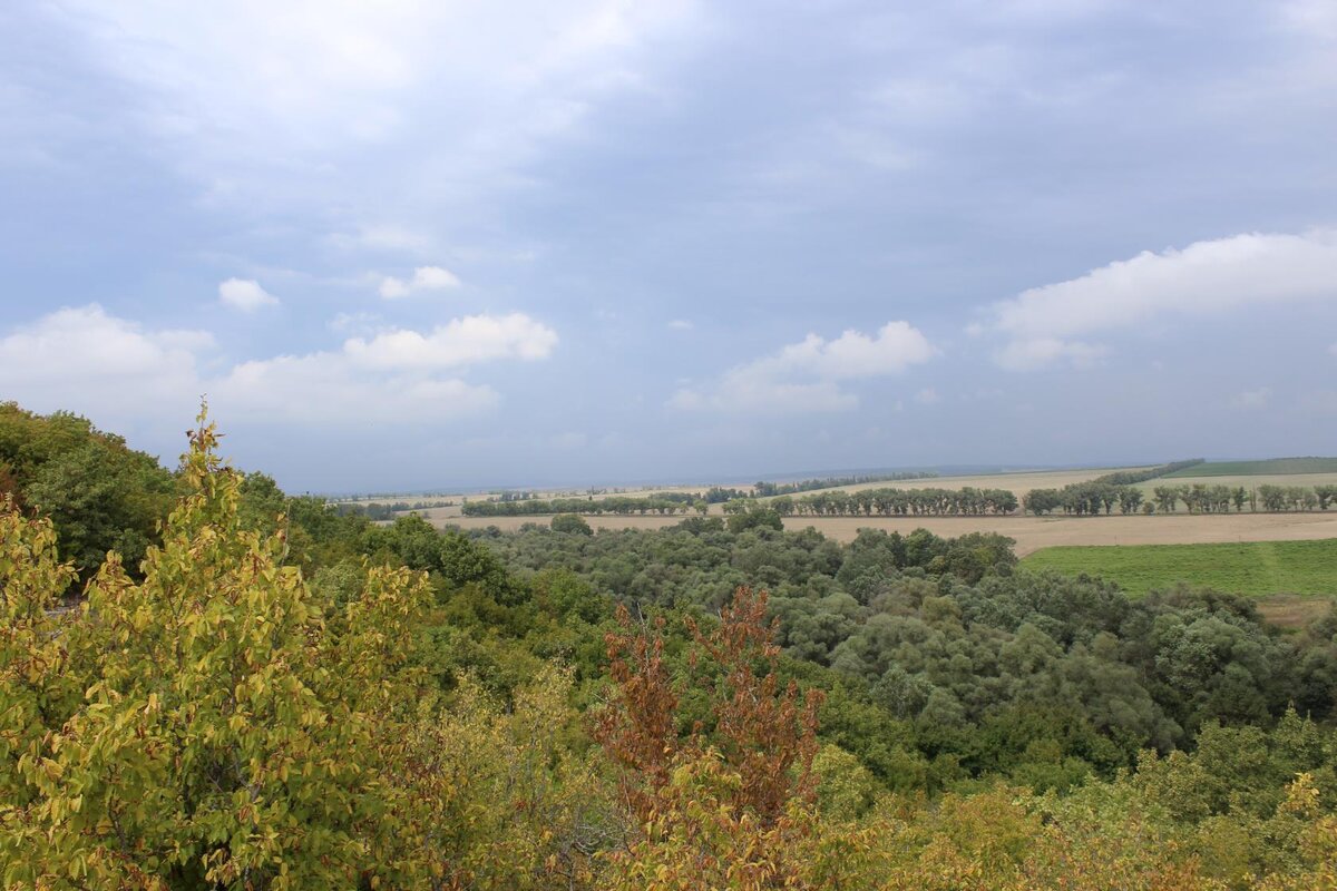 Станица раевская краснодарский край фото