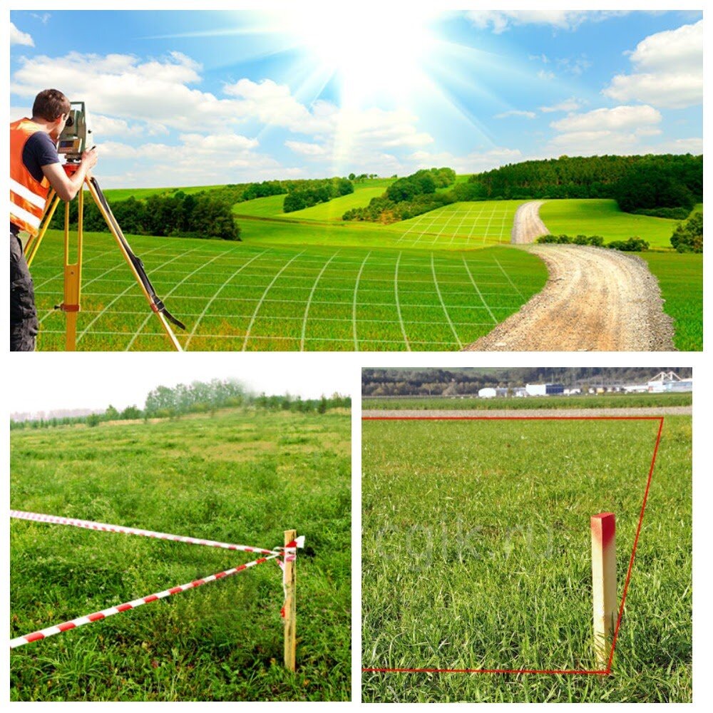 коллаж автора