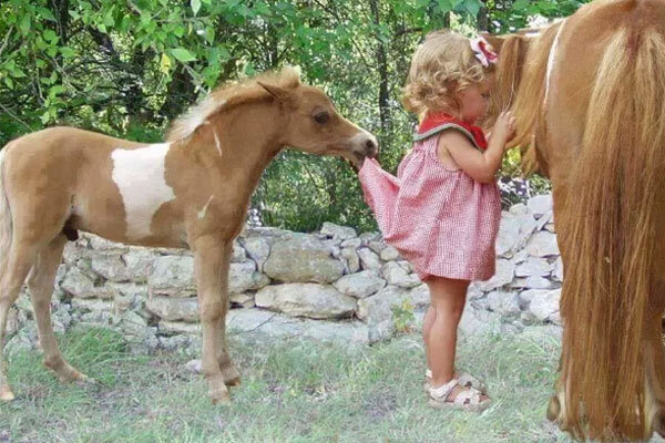 Источник фото сервис Яндекс.Картинки