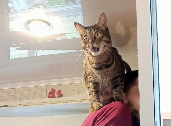 Фото из открытых источников