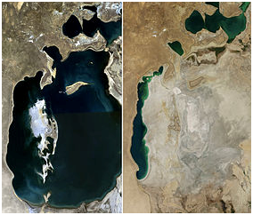 Аральское море в 1989 году и в 2014 году. Википедия.