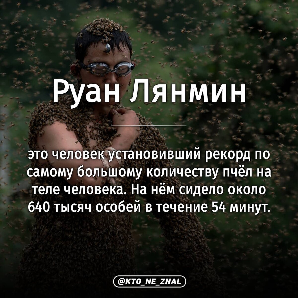 640 тысяч пчёл