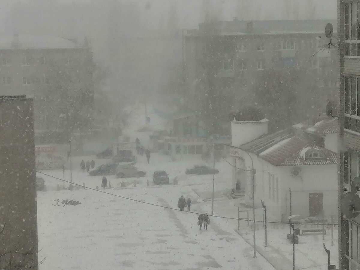 Воронеж сегодня.