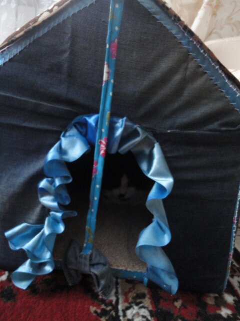 Мой Мурзик в домике