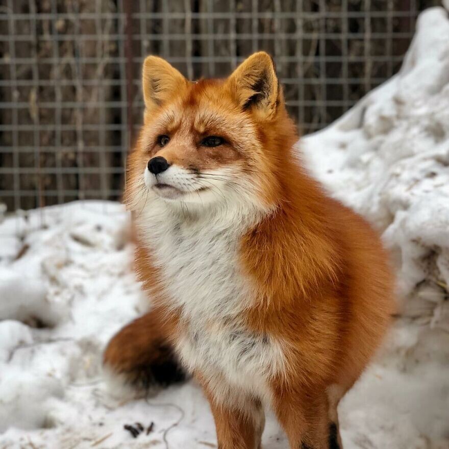 Источник фото: https://www.boredpanda.com 
