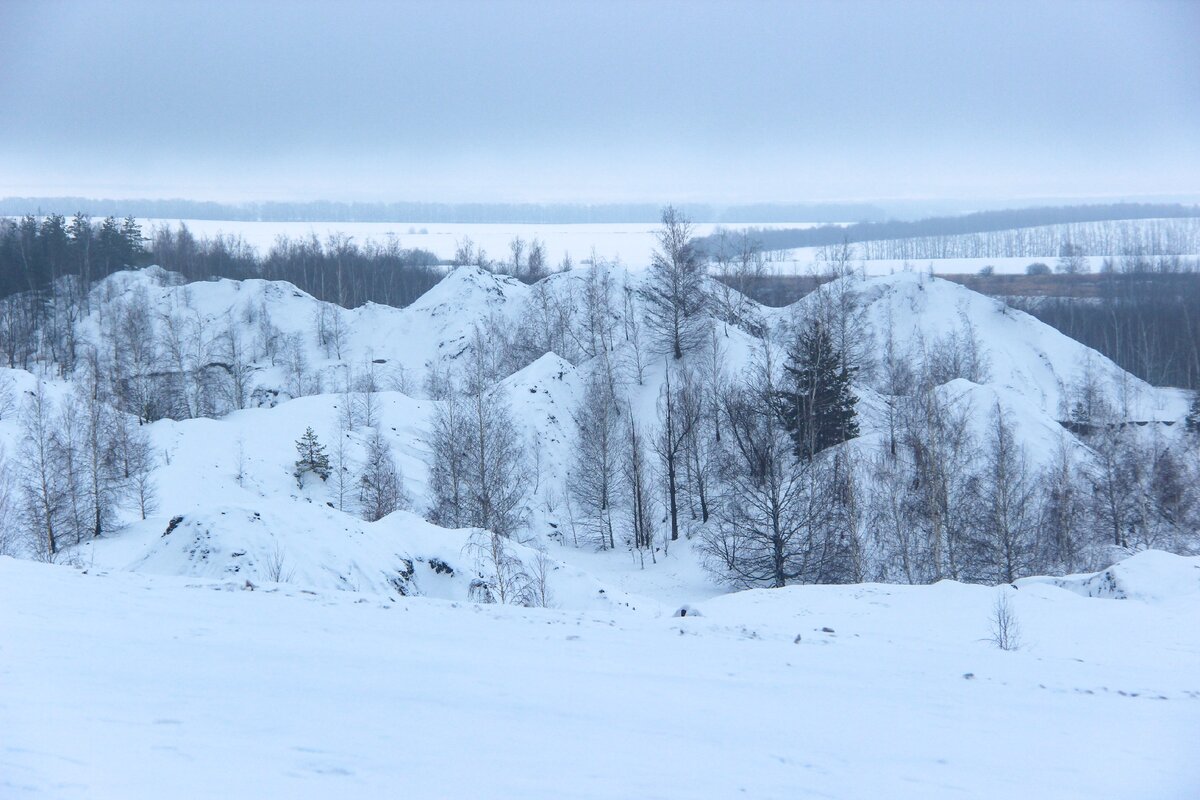 Здесь и далее - фото автора.  