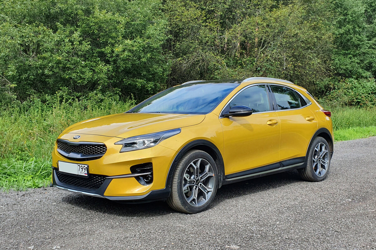 Кия xceed 2022. Xceed отзывы. Xceed отзывы. Xceed отзывы. Xceed отзывы.