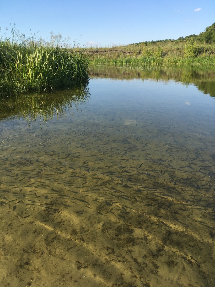 Кроме мужа в сентябре купались только рыбки)