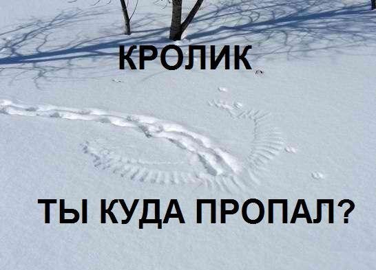 Старая шутка =_) Актуальная