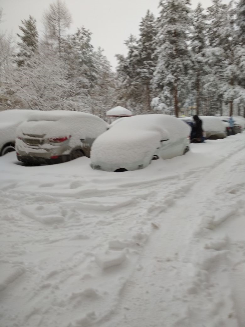 Не проехать, не пройти, на работу не дойти.