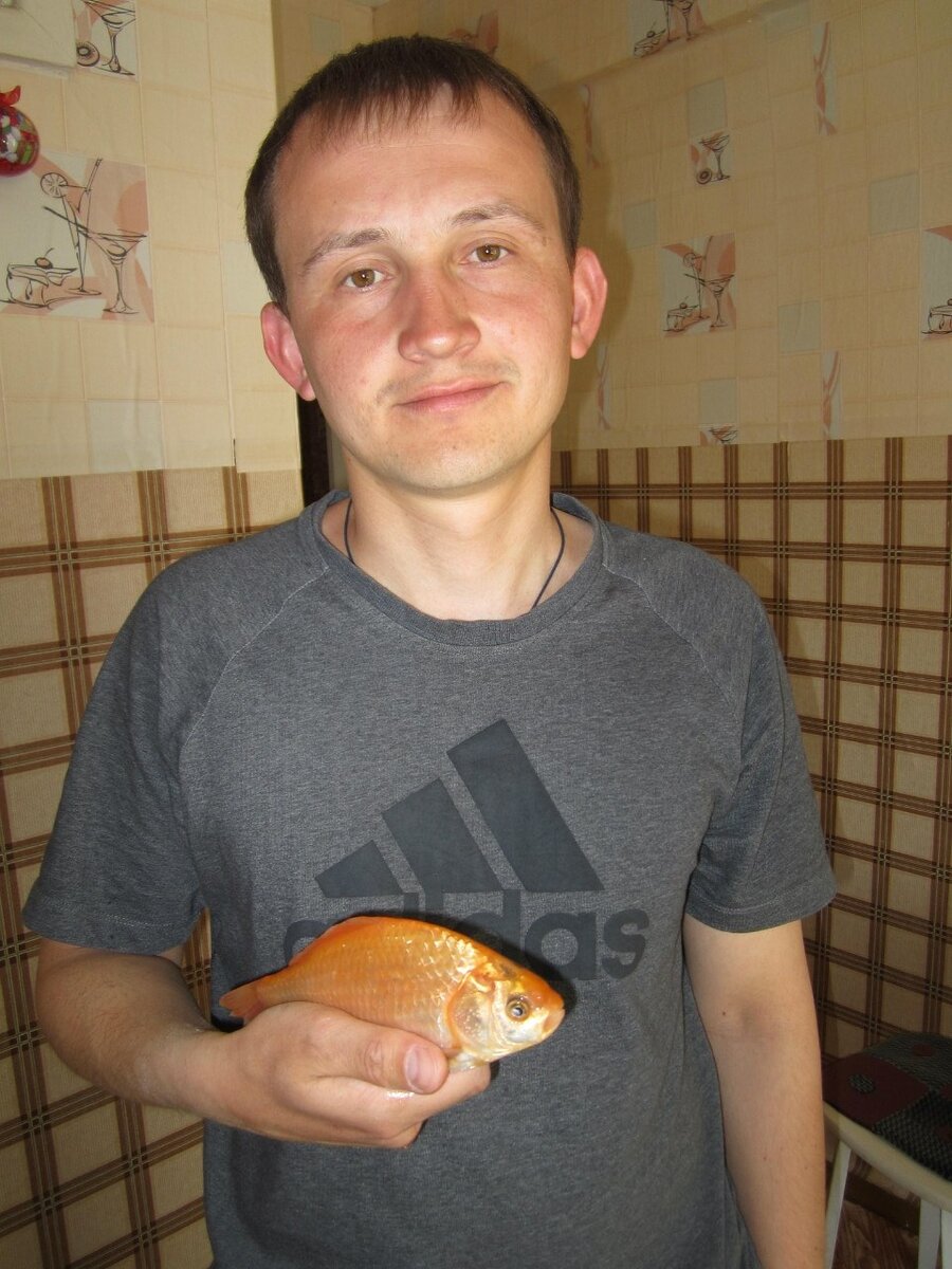 Брат и золотая рыбка