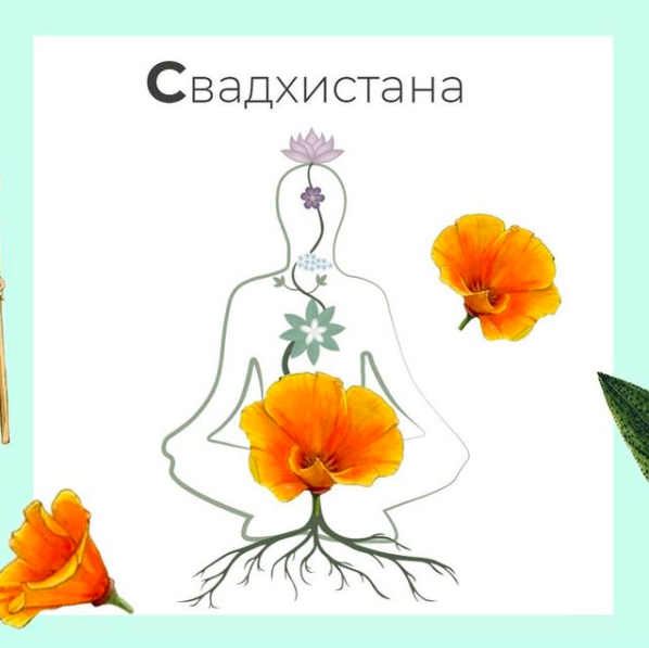 Вторая чакра - Свадхистана (сакральная чакра)