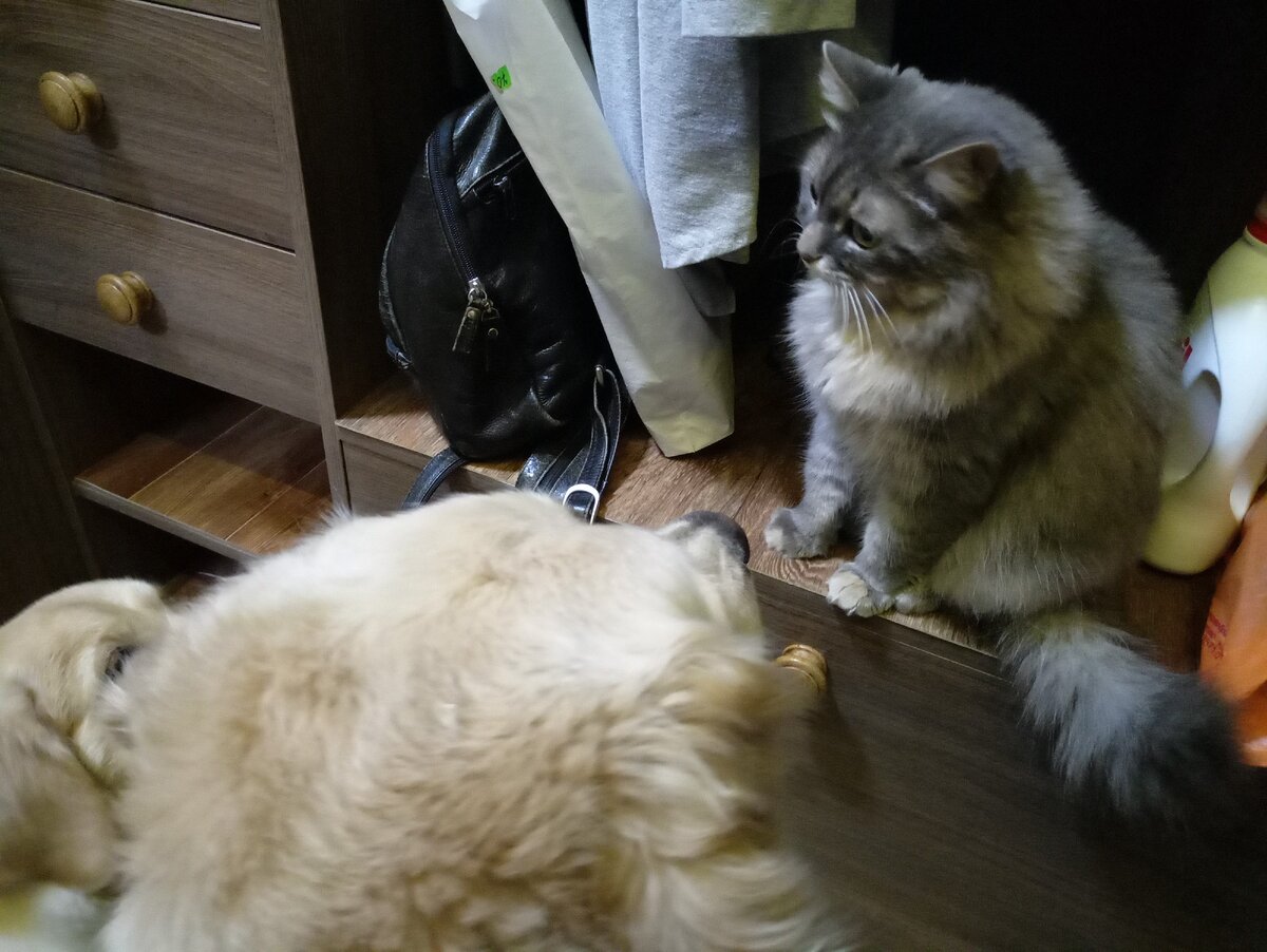 Я теперь сама по себе!