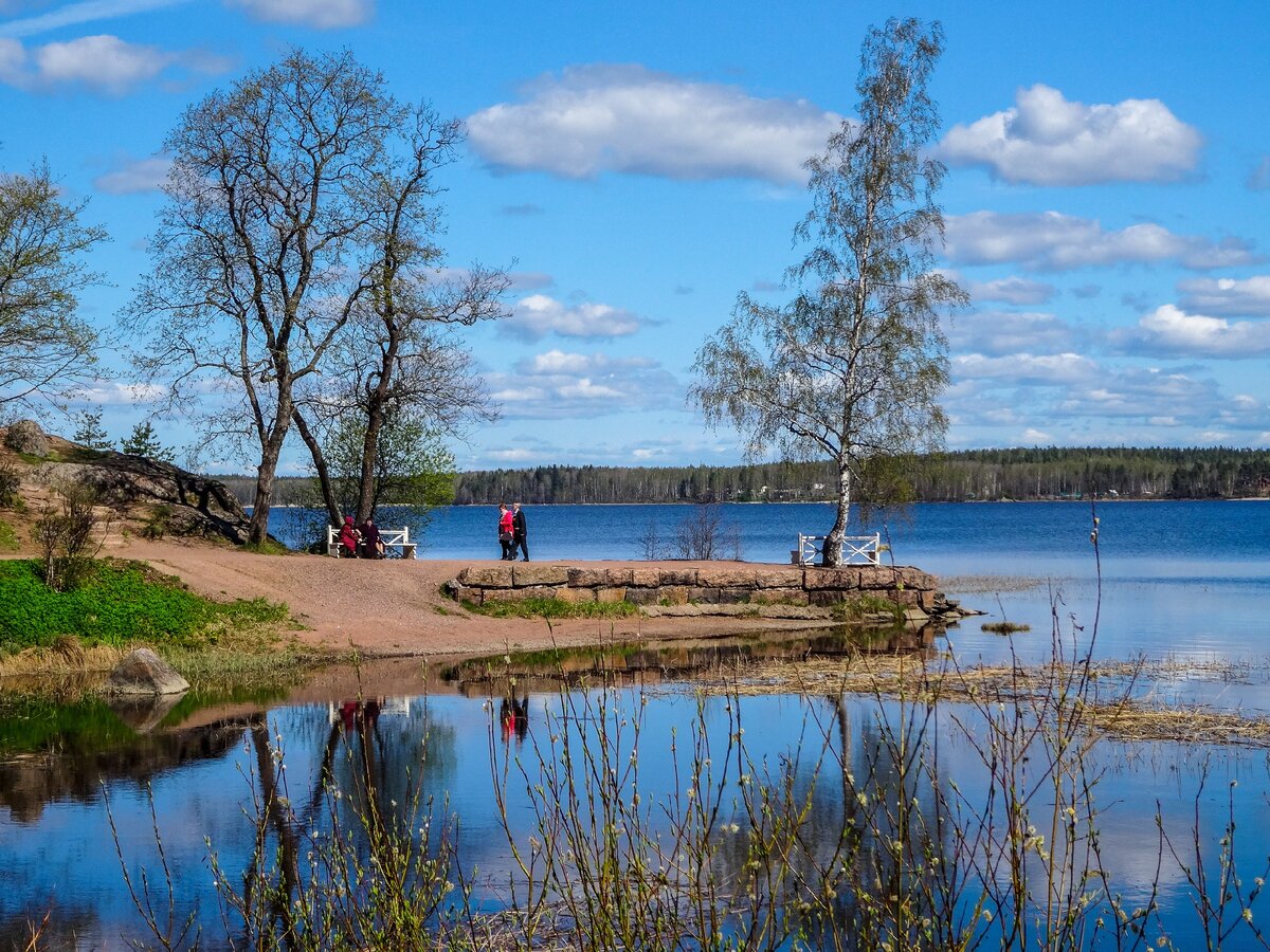 Кресло монрепо