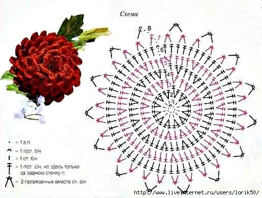Цветы крючком схемы и описание бесплатно