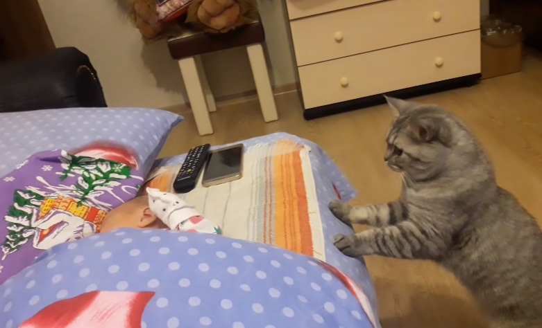 Первое знакомство