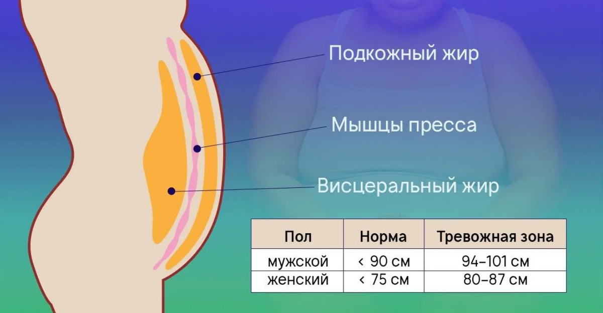 Если у вас талия есть, то статью не читайте дальше!