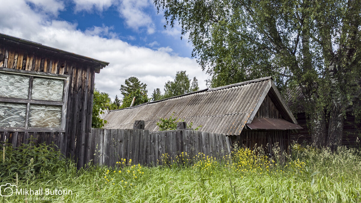 Гараж под берёзой.