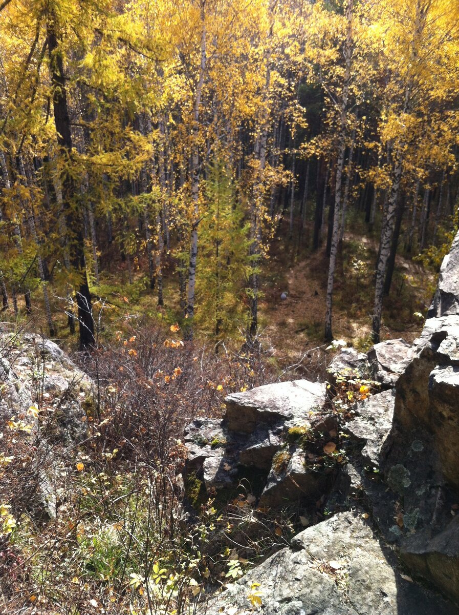 Фото автора.