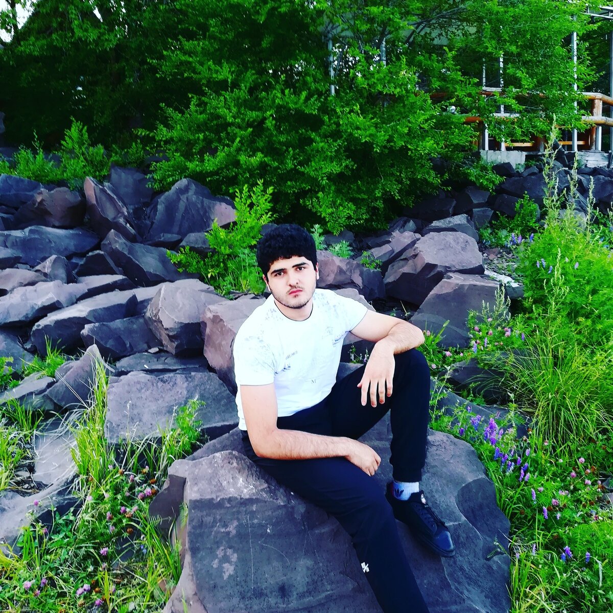 Сам автор стихов