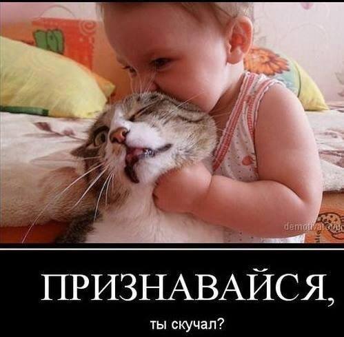 Жестокость к животным и людям