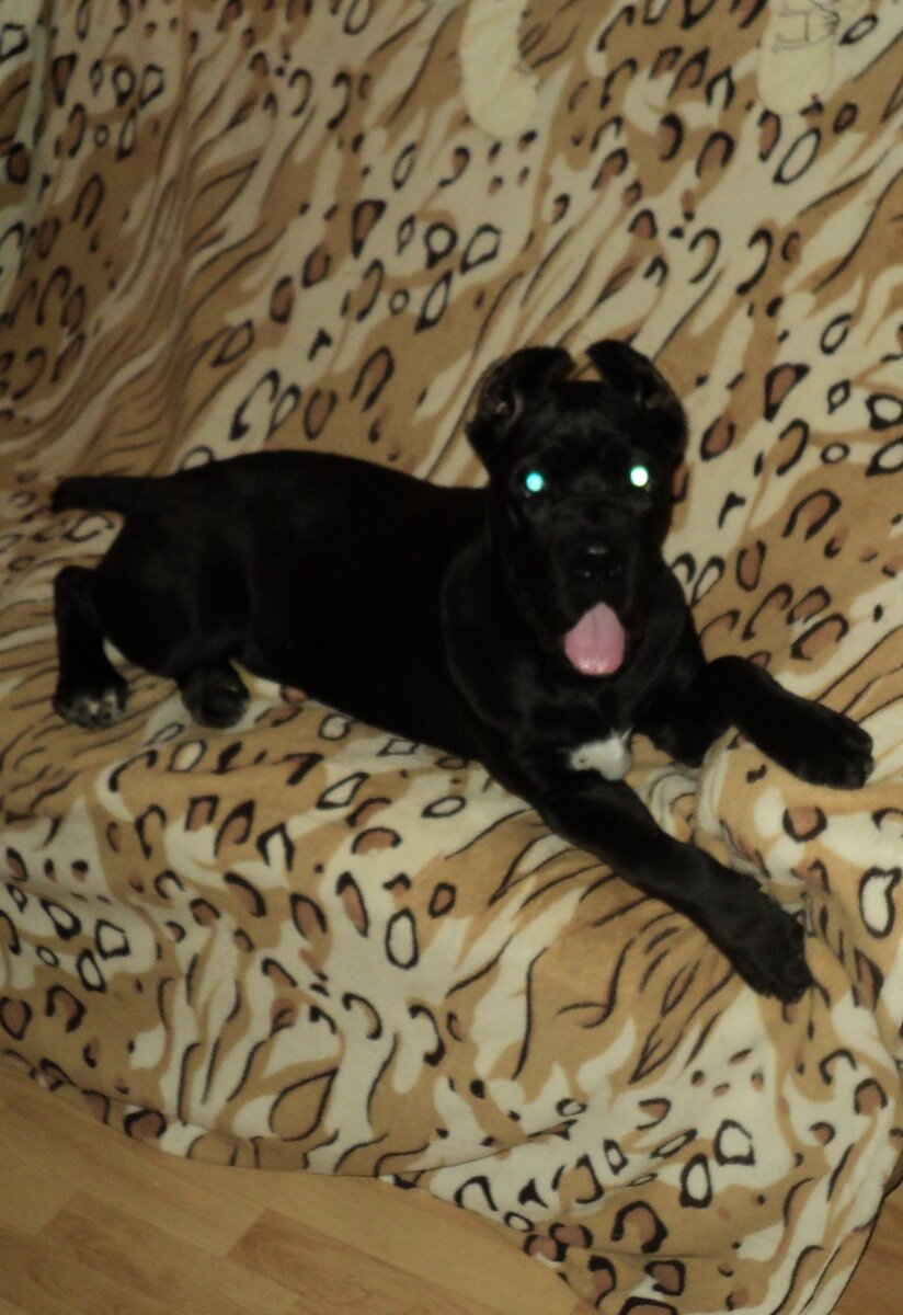 Мона в молодости. Несколько дней как приехала к нам.