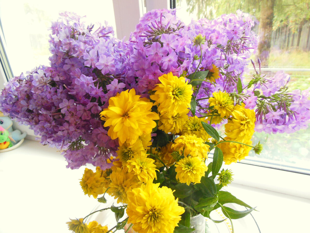 Букет из поваленных дождём цветов (фото автора)