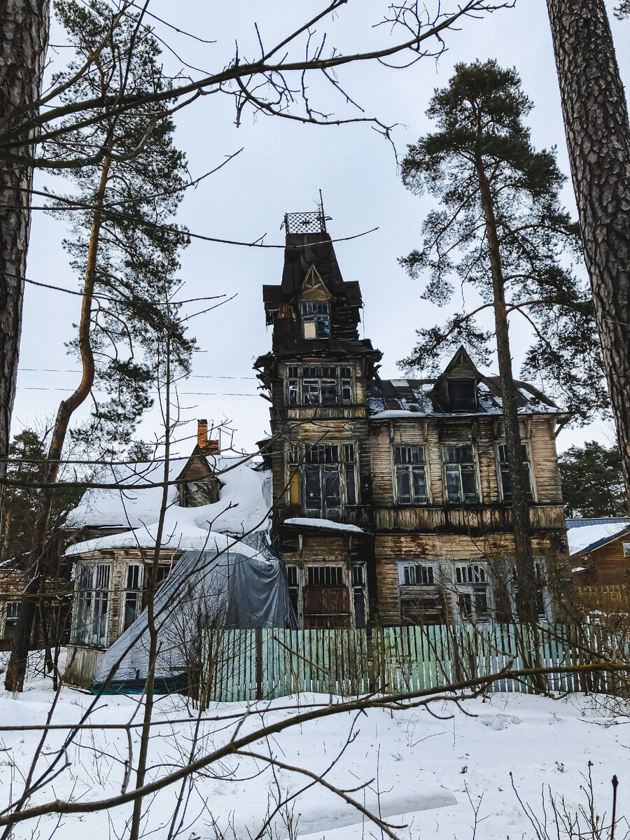 Дача Кривдиной. Фото автора от 2019 года