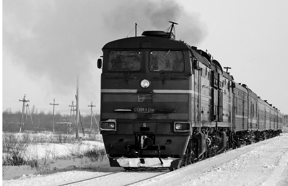 Фотография взята из открытого источника
