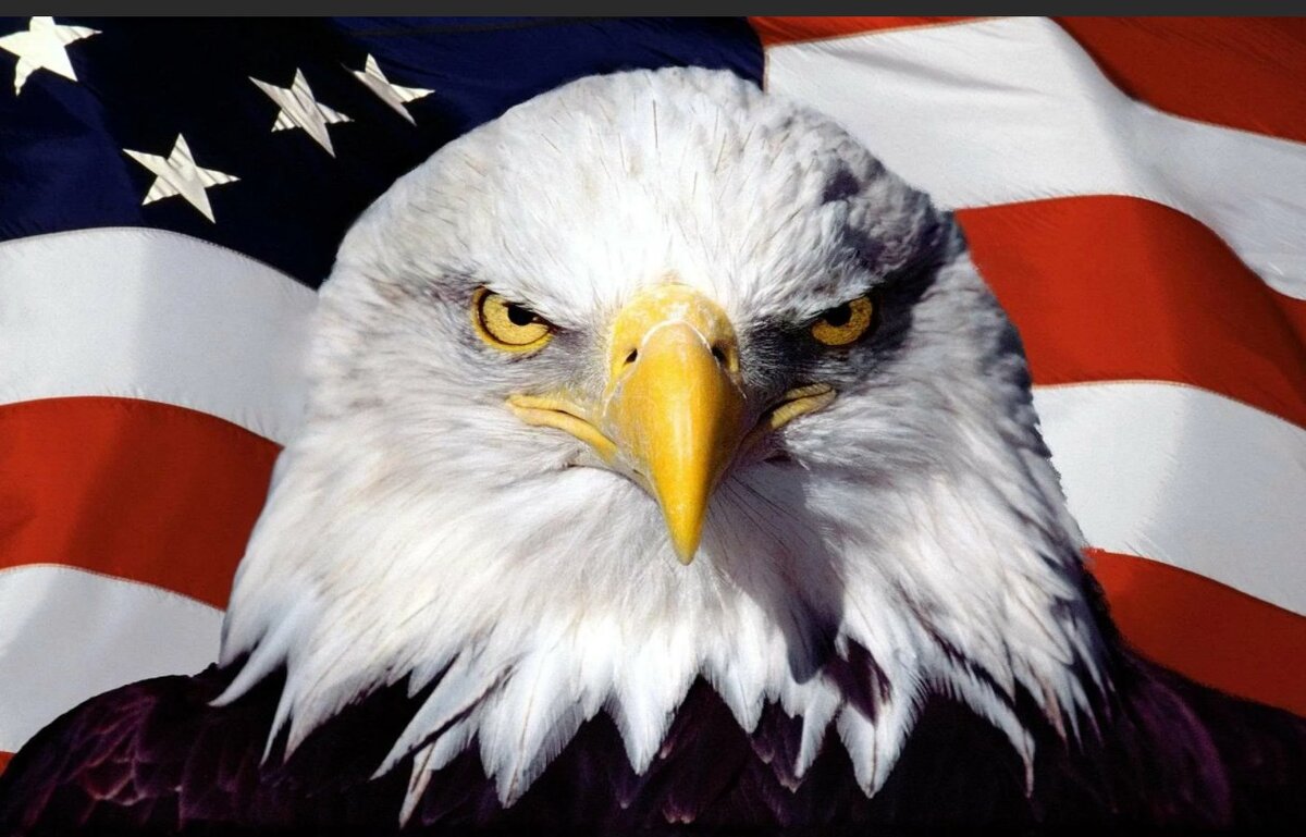 Картинка здесь для заголовка статьи.