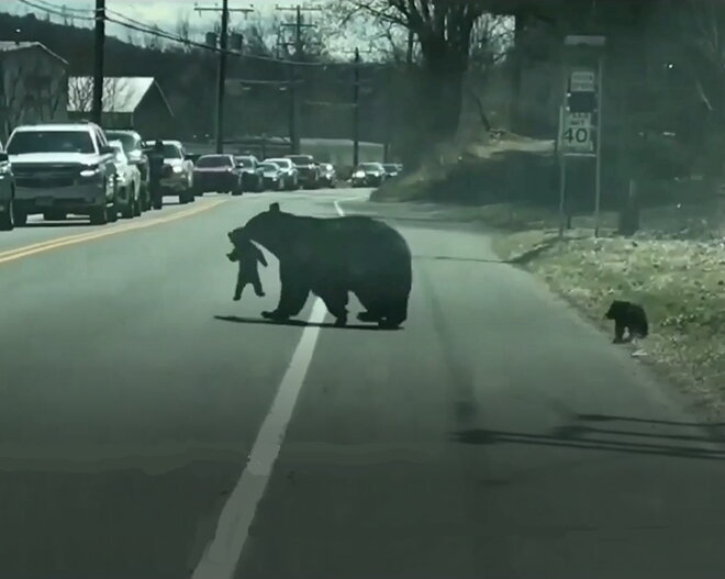 Скриншот с видео YouTube: канал Семечки Life. https://www.youtube.com/channel/UChlE2lUTEoxg__2Wu_HIe4w